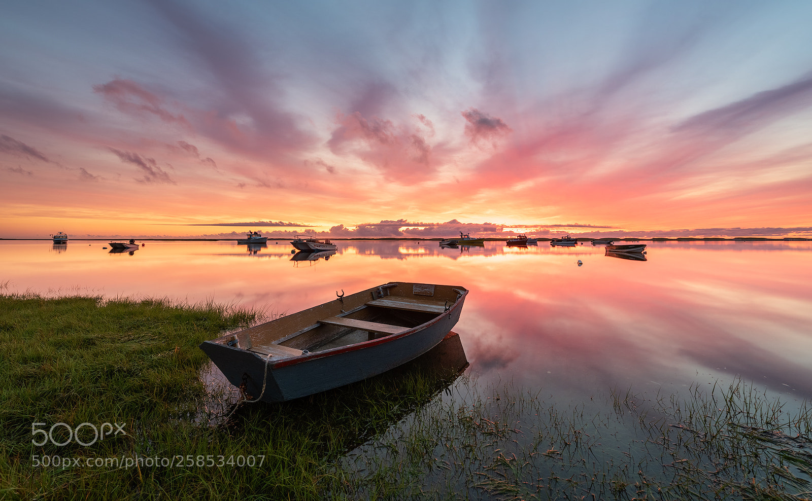 Nikon D810 sample photo. Morning reflections photography