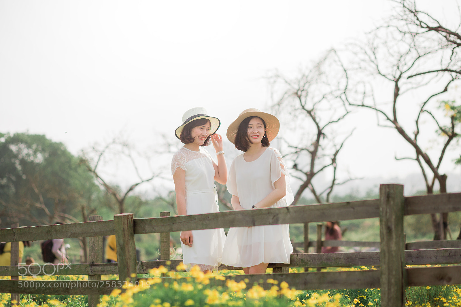 Canon EOS 6D sample photo. Img photography