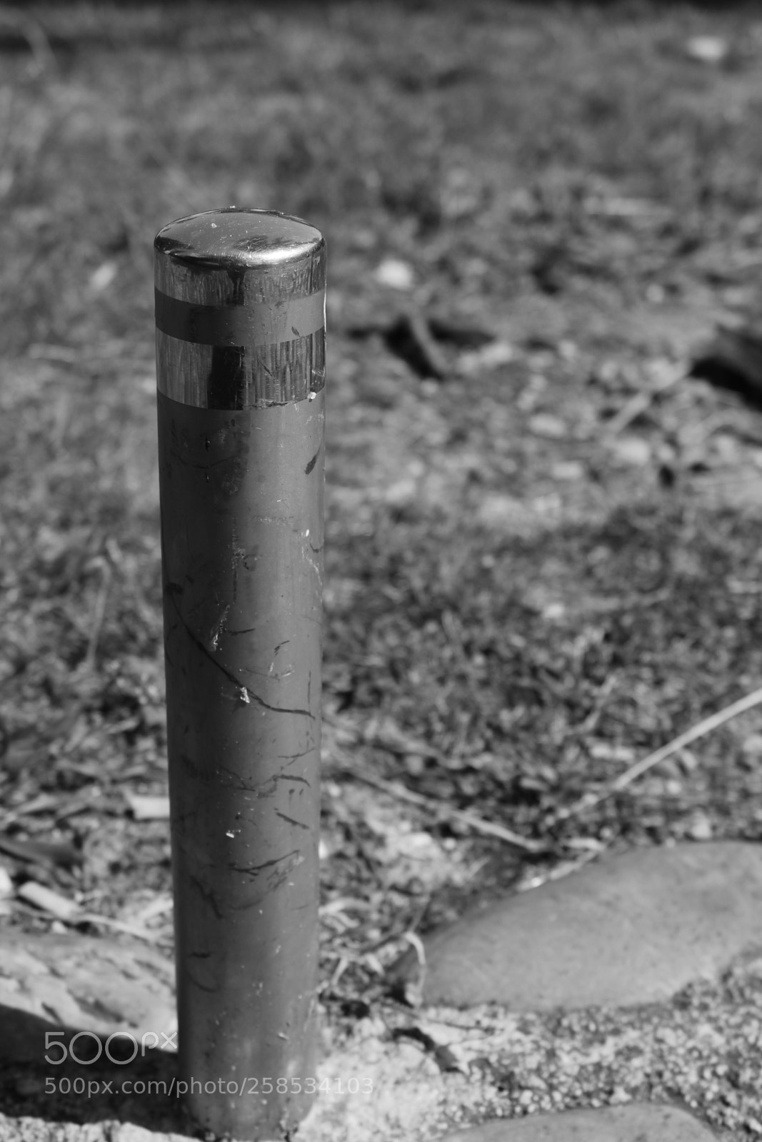 Canon EOS 1300D (EOS Rebel T6 / EOS Kiss X80) sample photo. Tout simplement photography