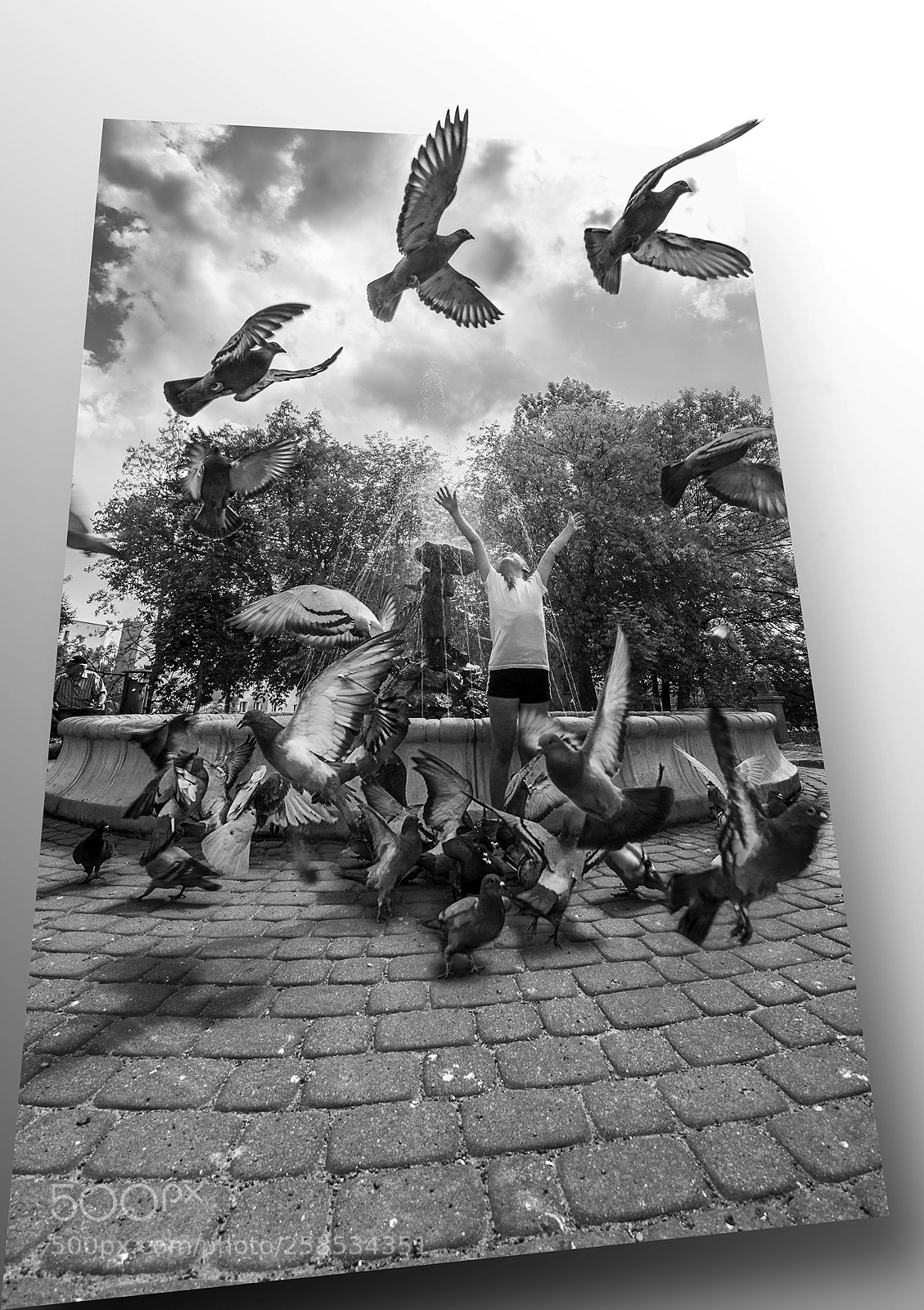 Nikon D3200 sample photo. Pigeons photography