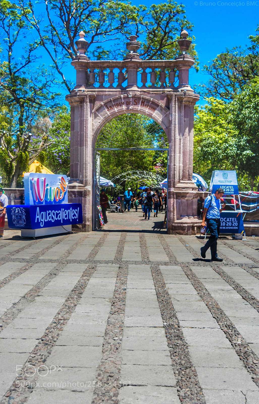 Nikon D5200 sample photo. Jardin de san marcos photography