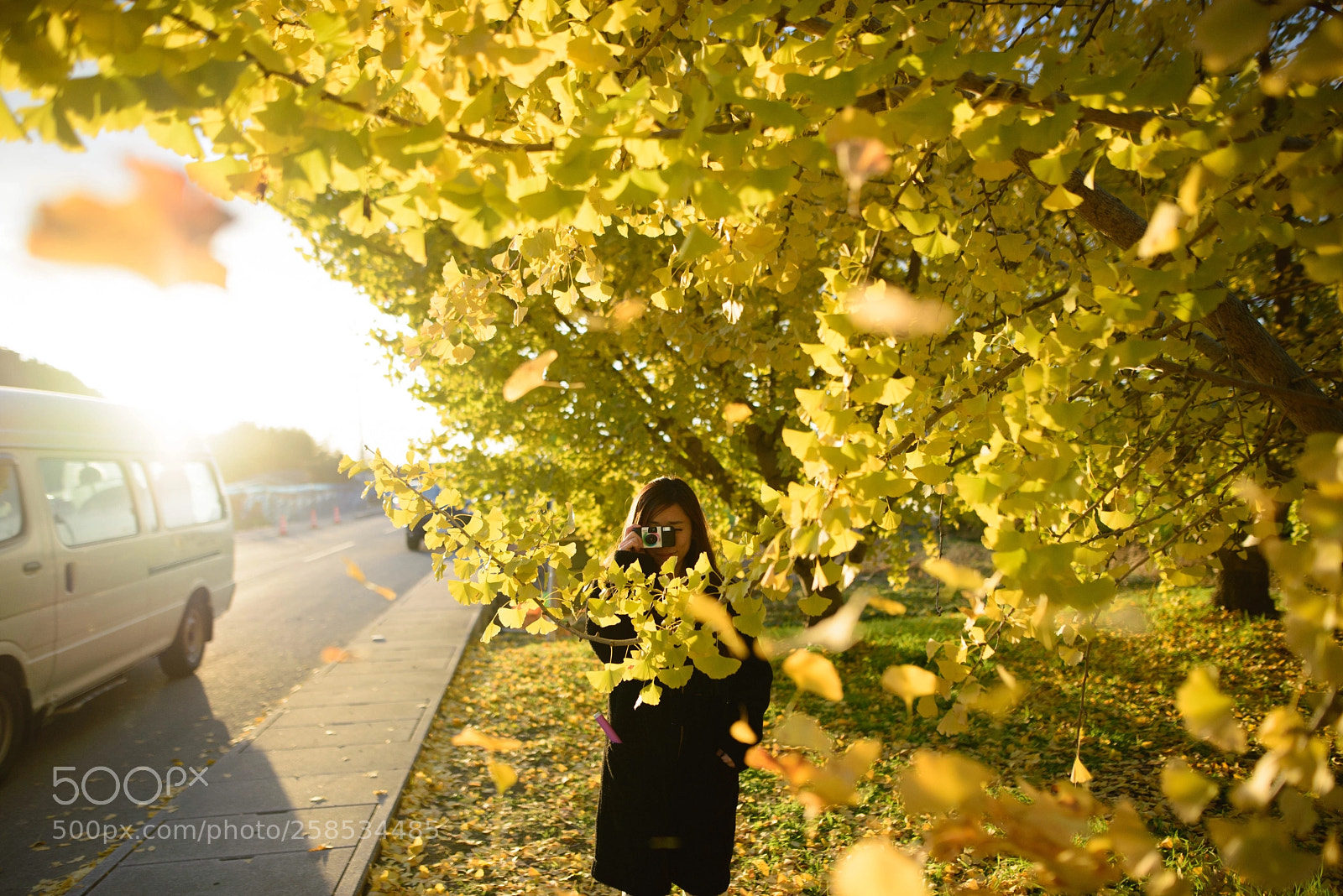 Nikon D610 sample photo. Wayatokazuya photography