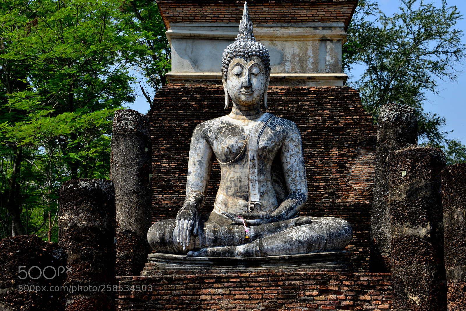 Nikon D800 sample photo. Wat traphang ngoen photography