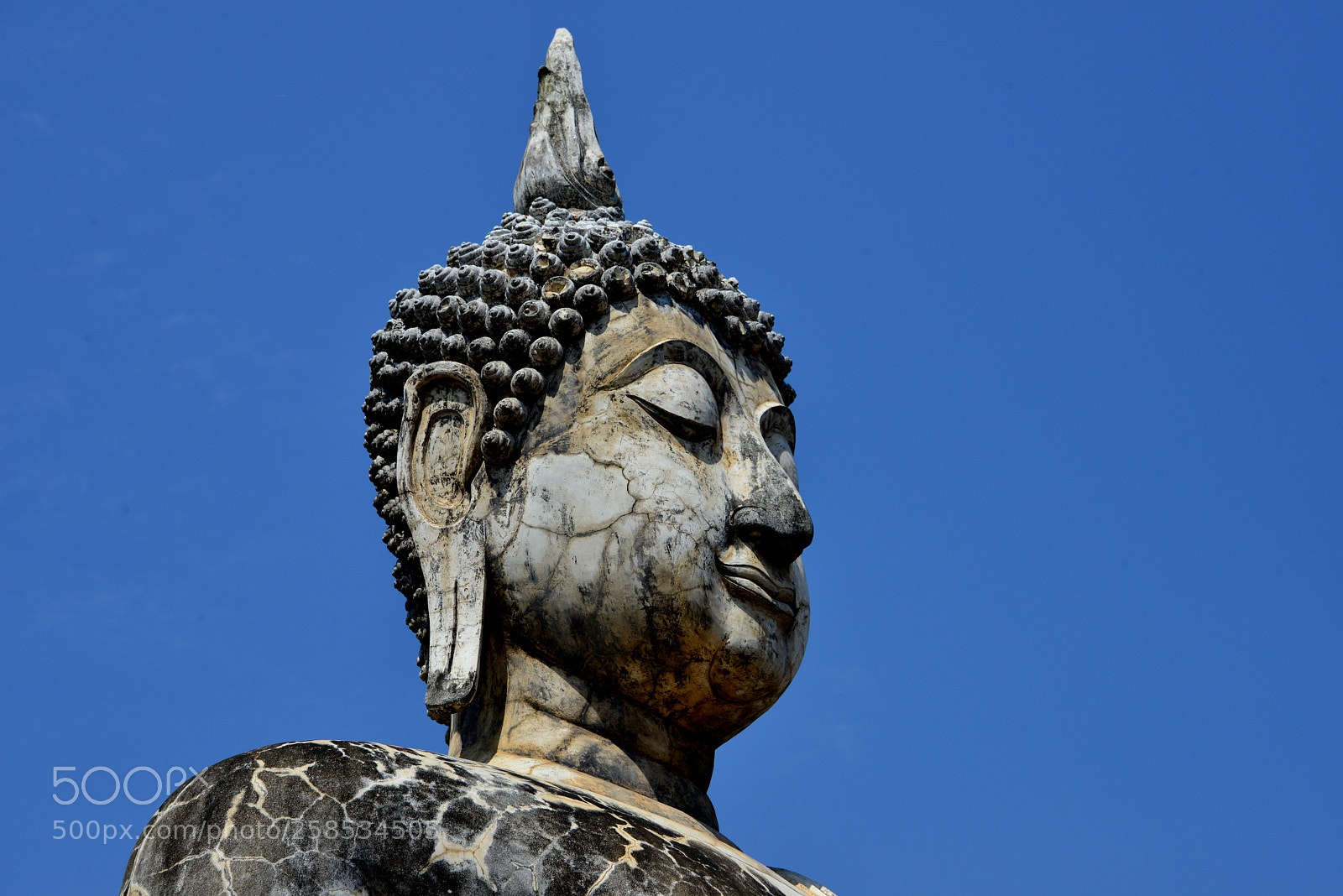 Nikon D800 sample photo. Buddha in the wat photography