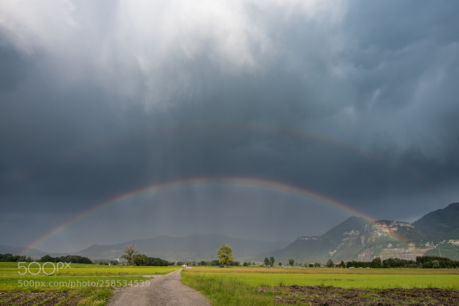Nikon D750 sample photo. Rainbow photography