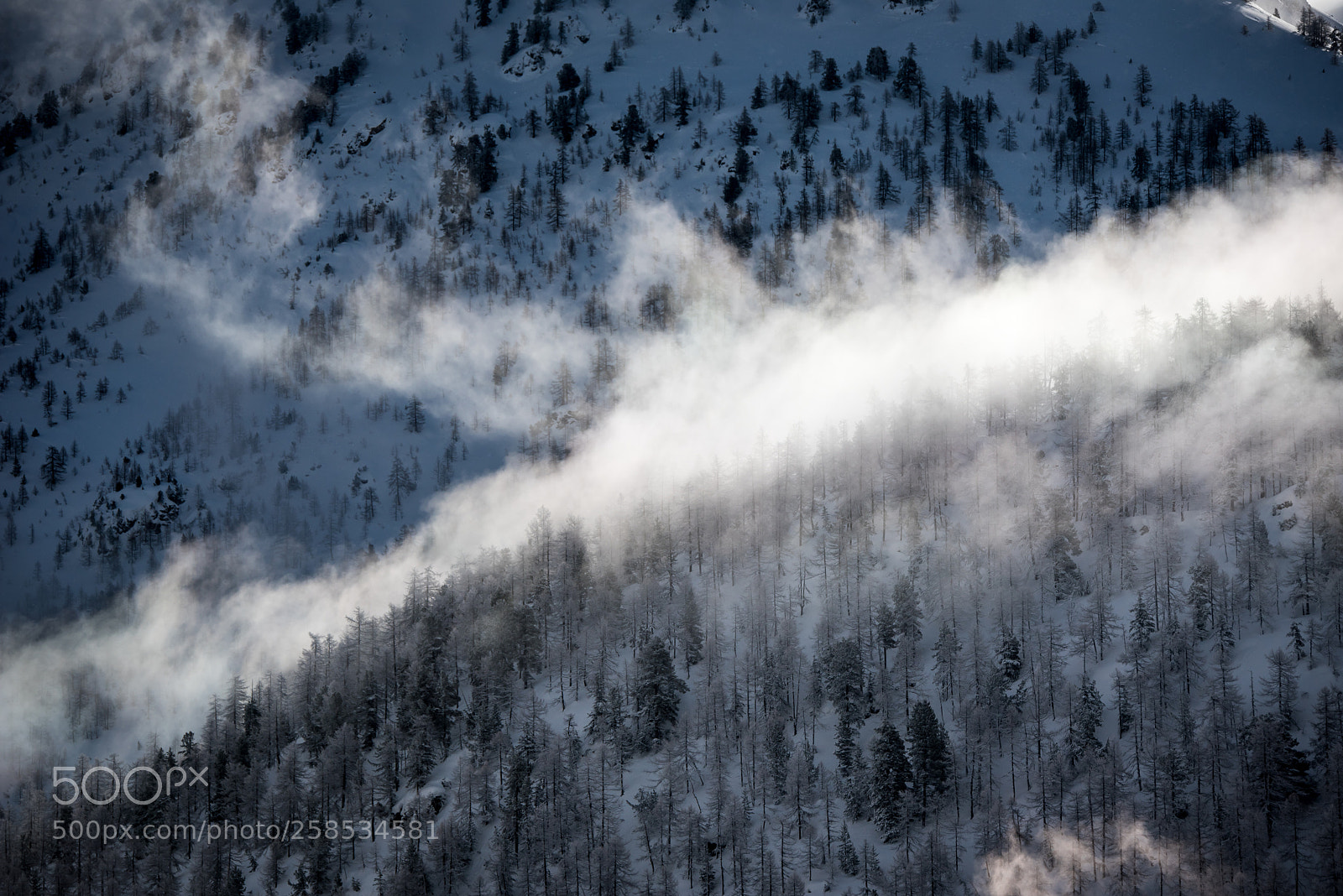 Nikon D750 sample photo. Fresh mountain photography