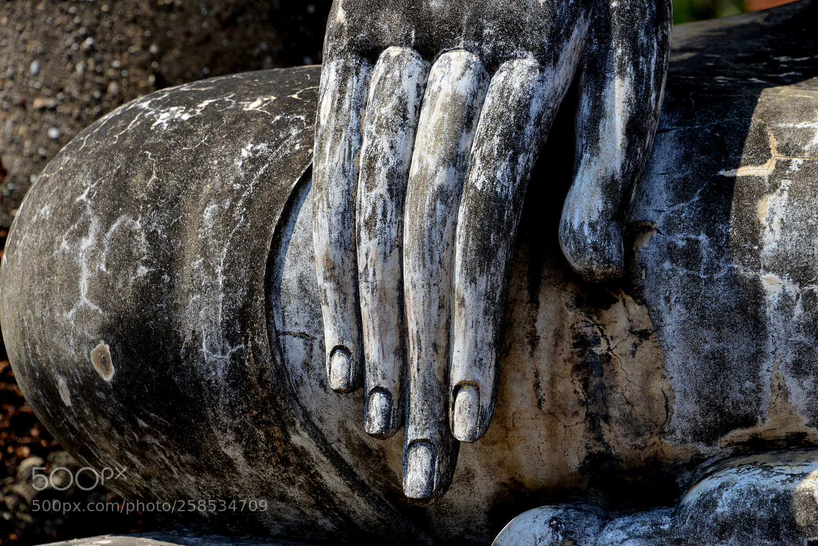 Nikon D800 sample photo. Hand of buddha photography