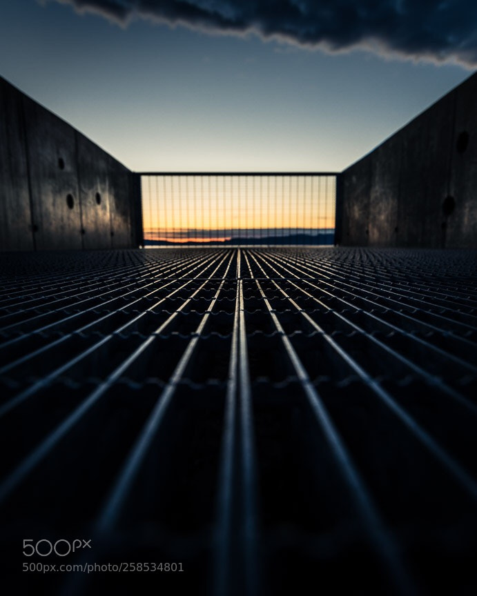 Canon EOS 6D sample photo. On the ground photography