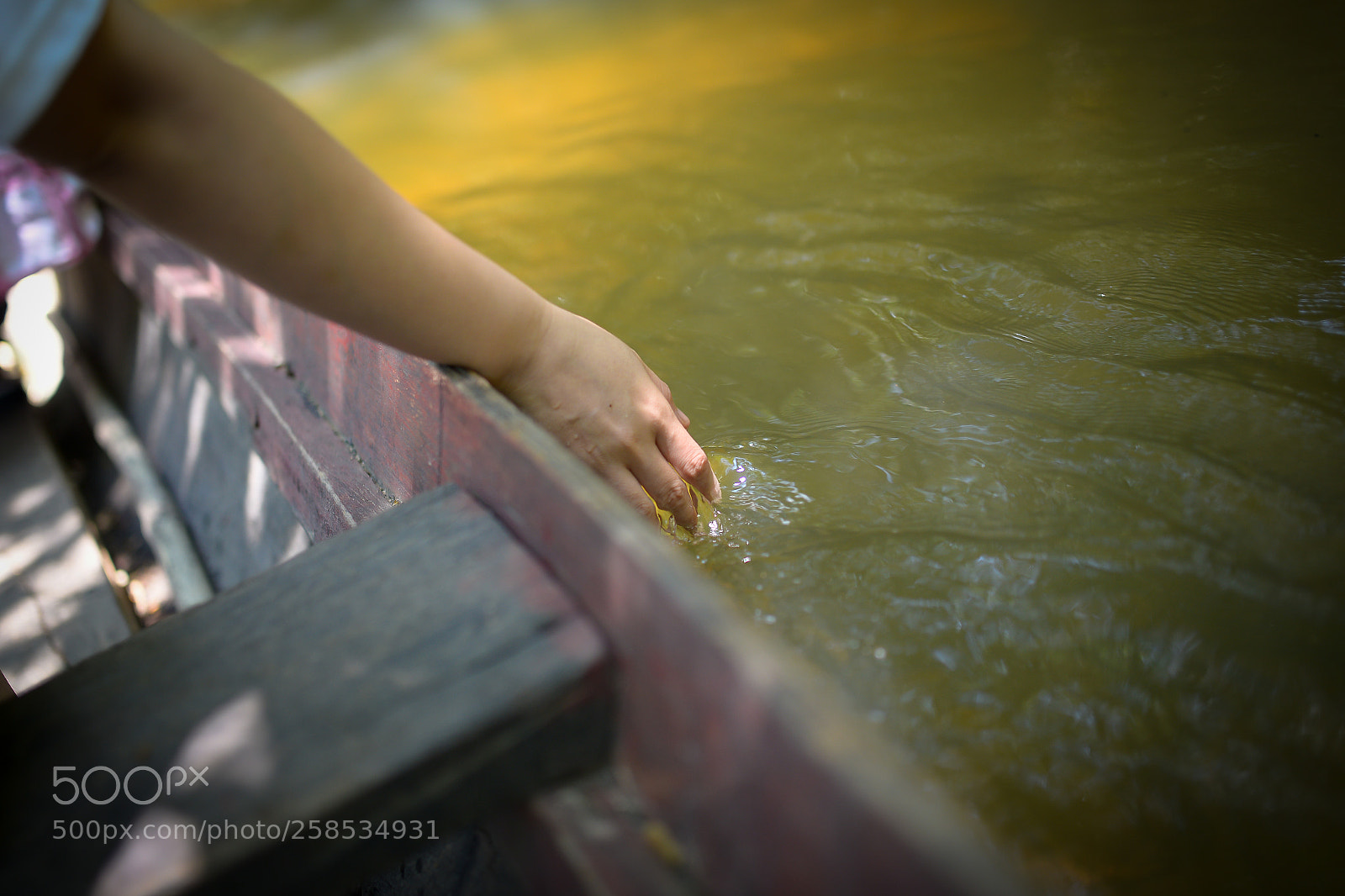 Nikon D800 sample photo. Floating hand on water photography