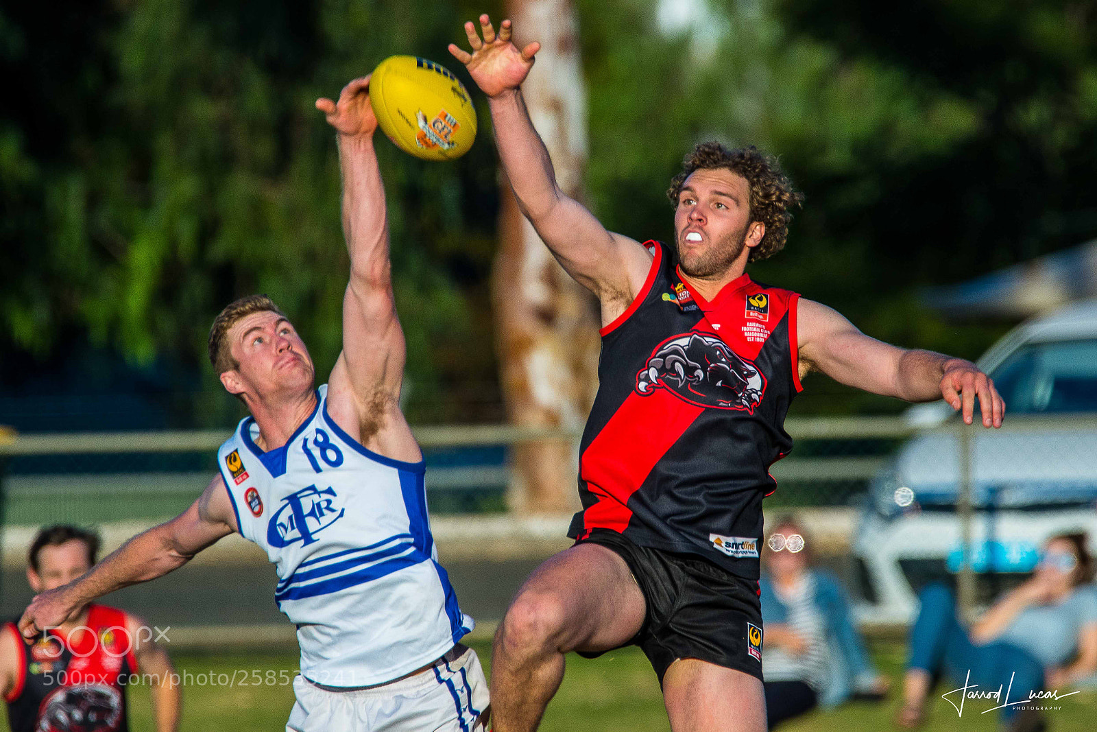 Canon EOS 7D Mark II sample photo. Australian rules photography