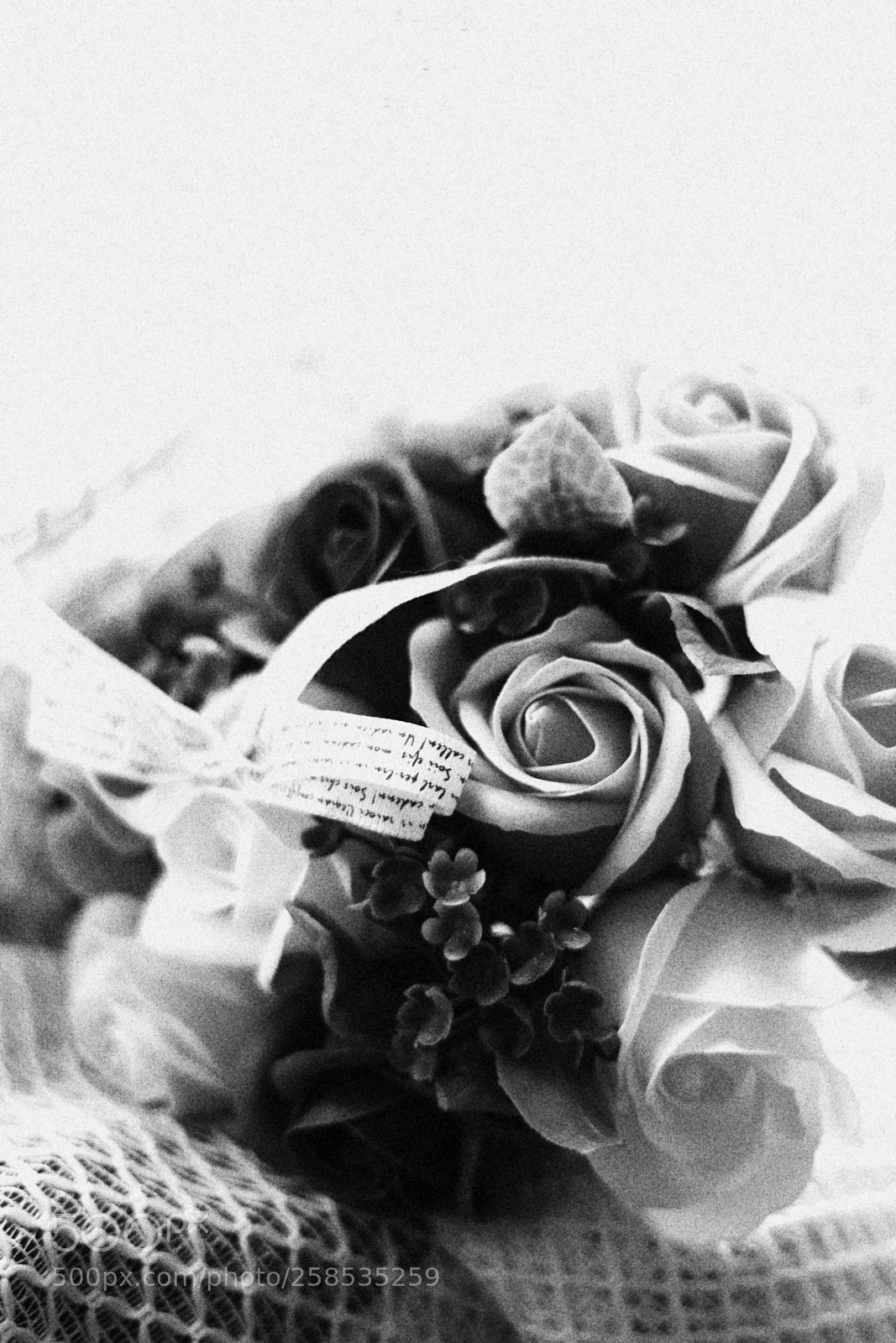 Canon EOS 80D sample photo. Untitled photography