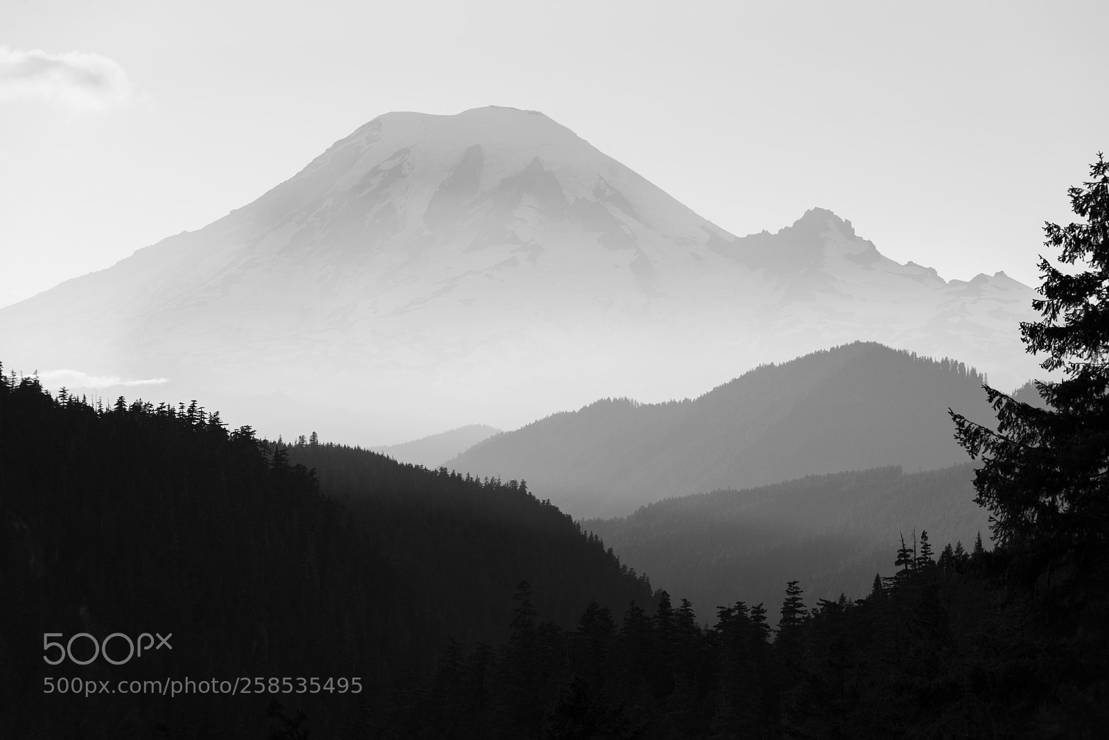 Nikon D610 sample photo. Mt. rainier photography