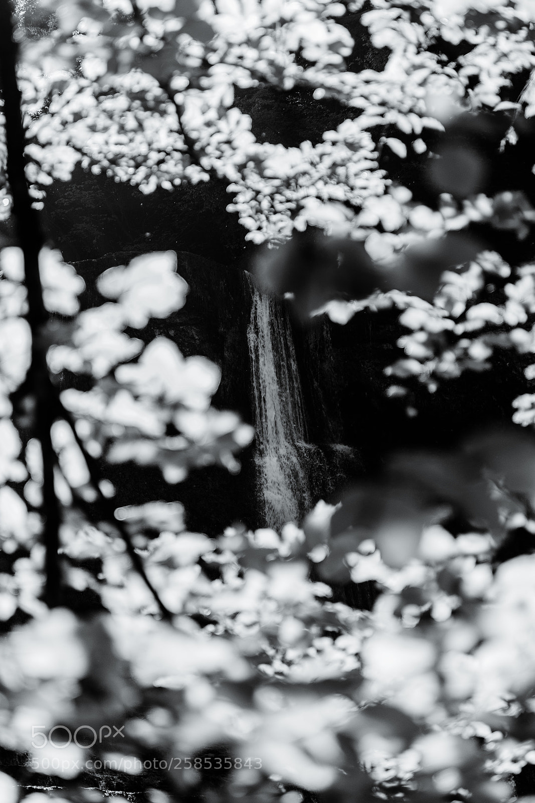 Canon EOS 6D sample photo. Cascades du h rissons photography