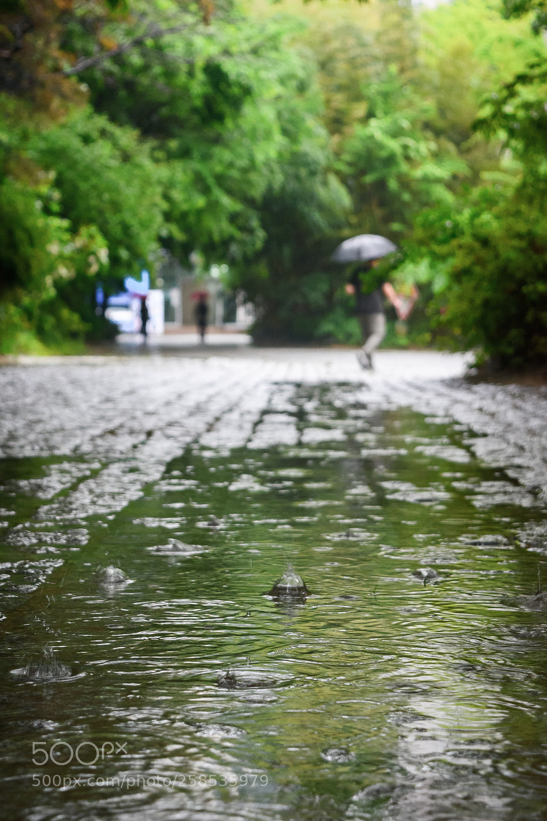 Nikon D5500 sample photo. Rain on empty school photography