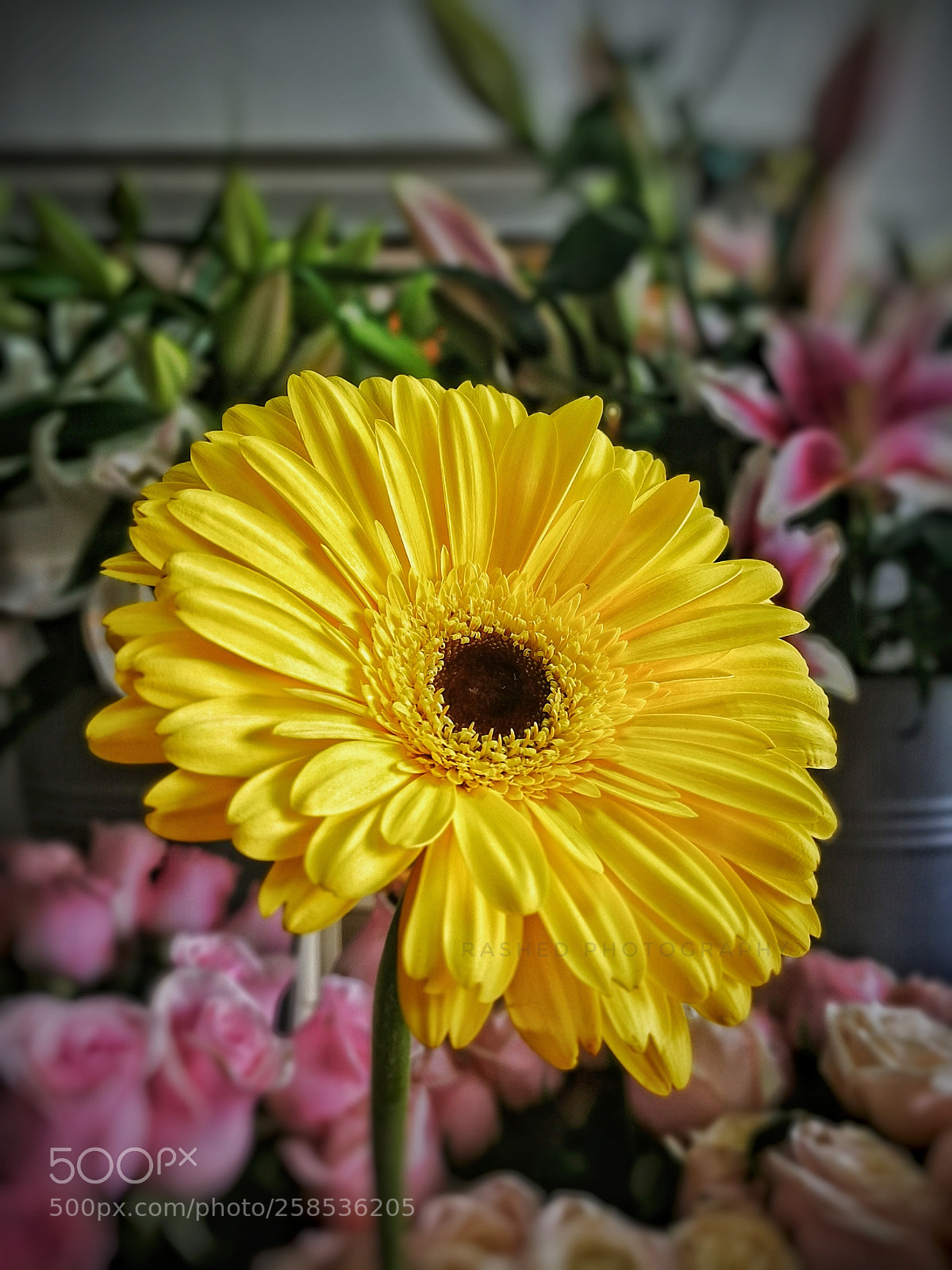 HUAWEI Mate 9 sample photo. Untitled photography