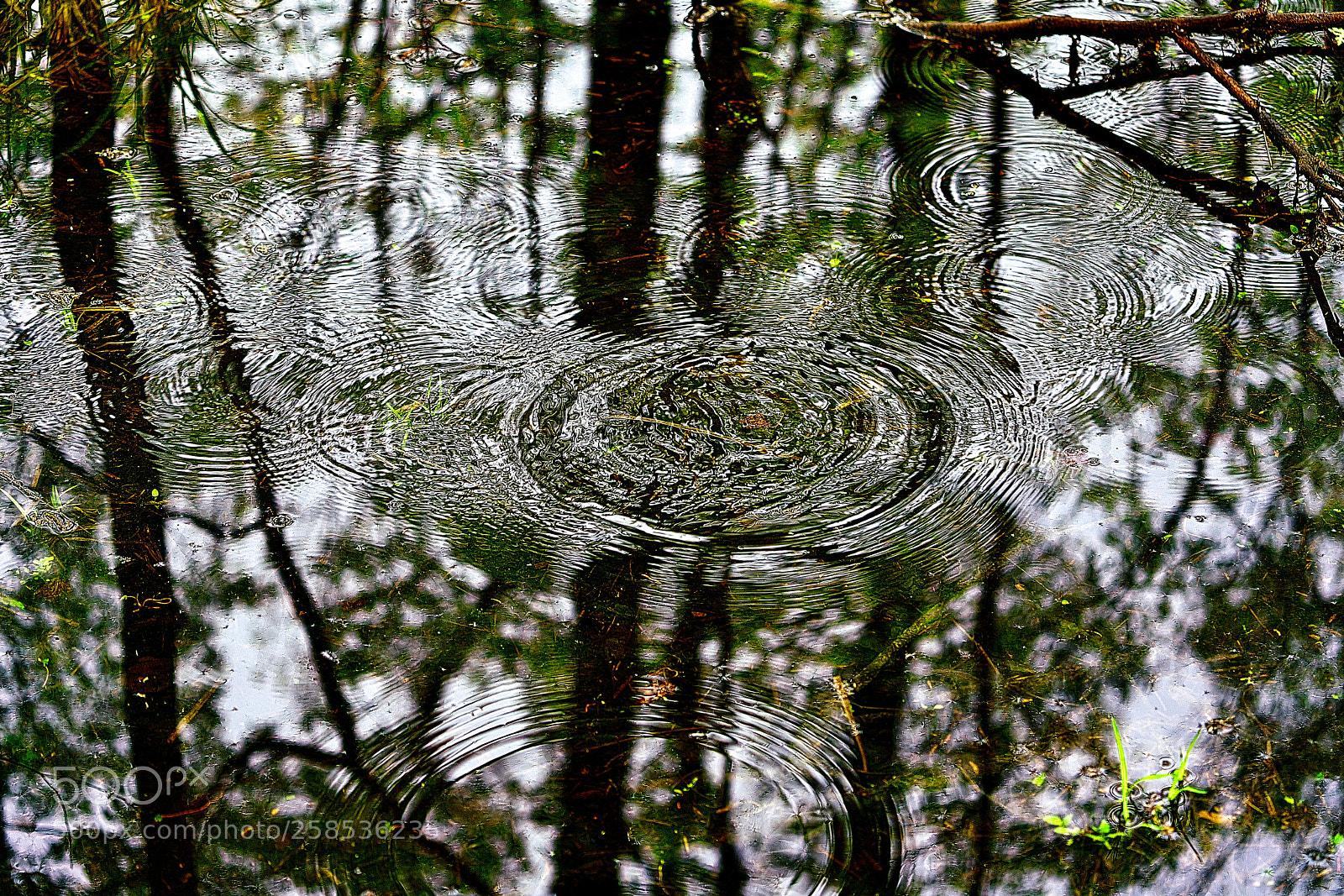 Sony a7R III sample photo. Ripples photography