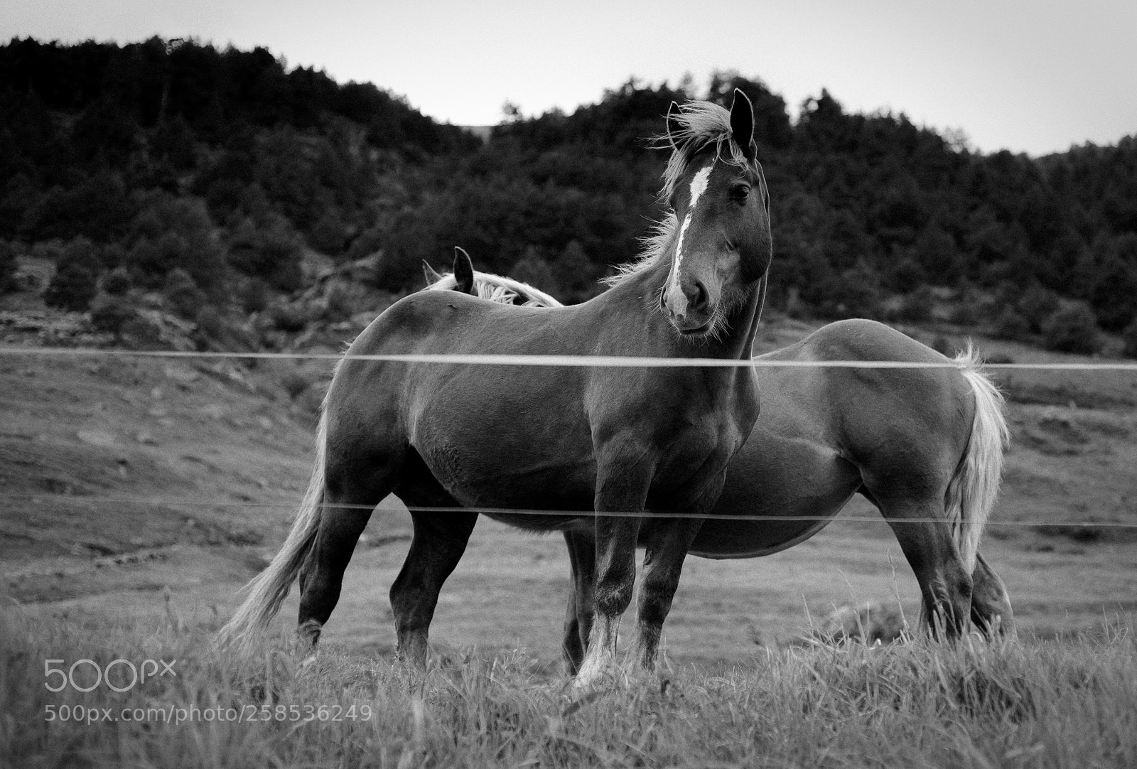 Nikon D610 sample photo. Andorra1 photography