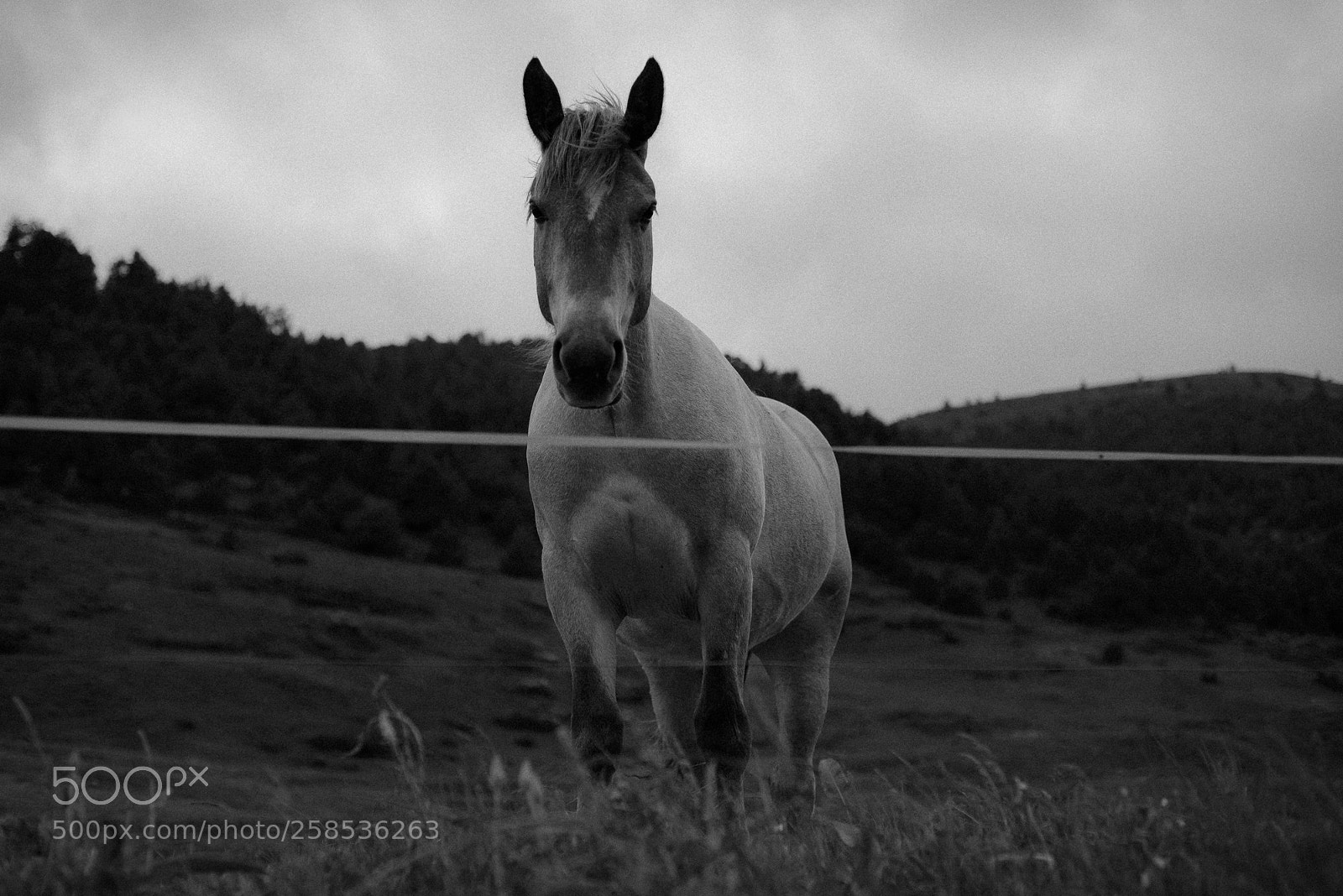 Nikon D610 sample photo. Andorra2 photography