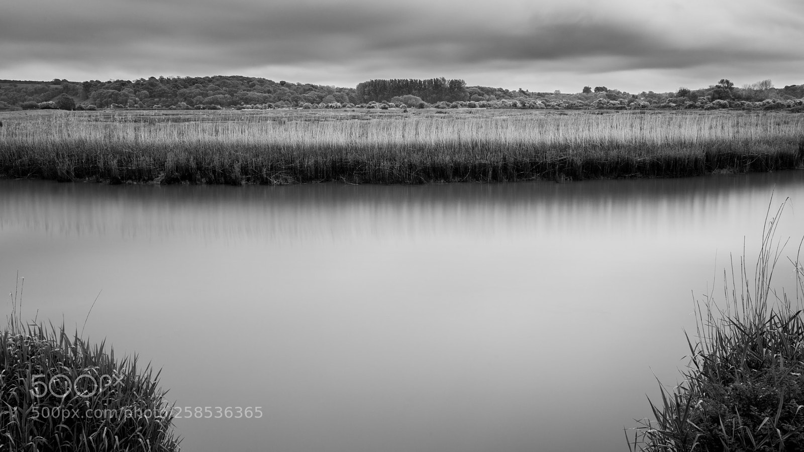 Canon EOS 6D Mark II sample photo. Powerful river photography