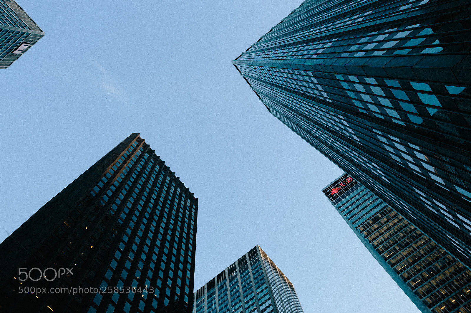 Canon EOS 6D sample photo. Mg photography