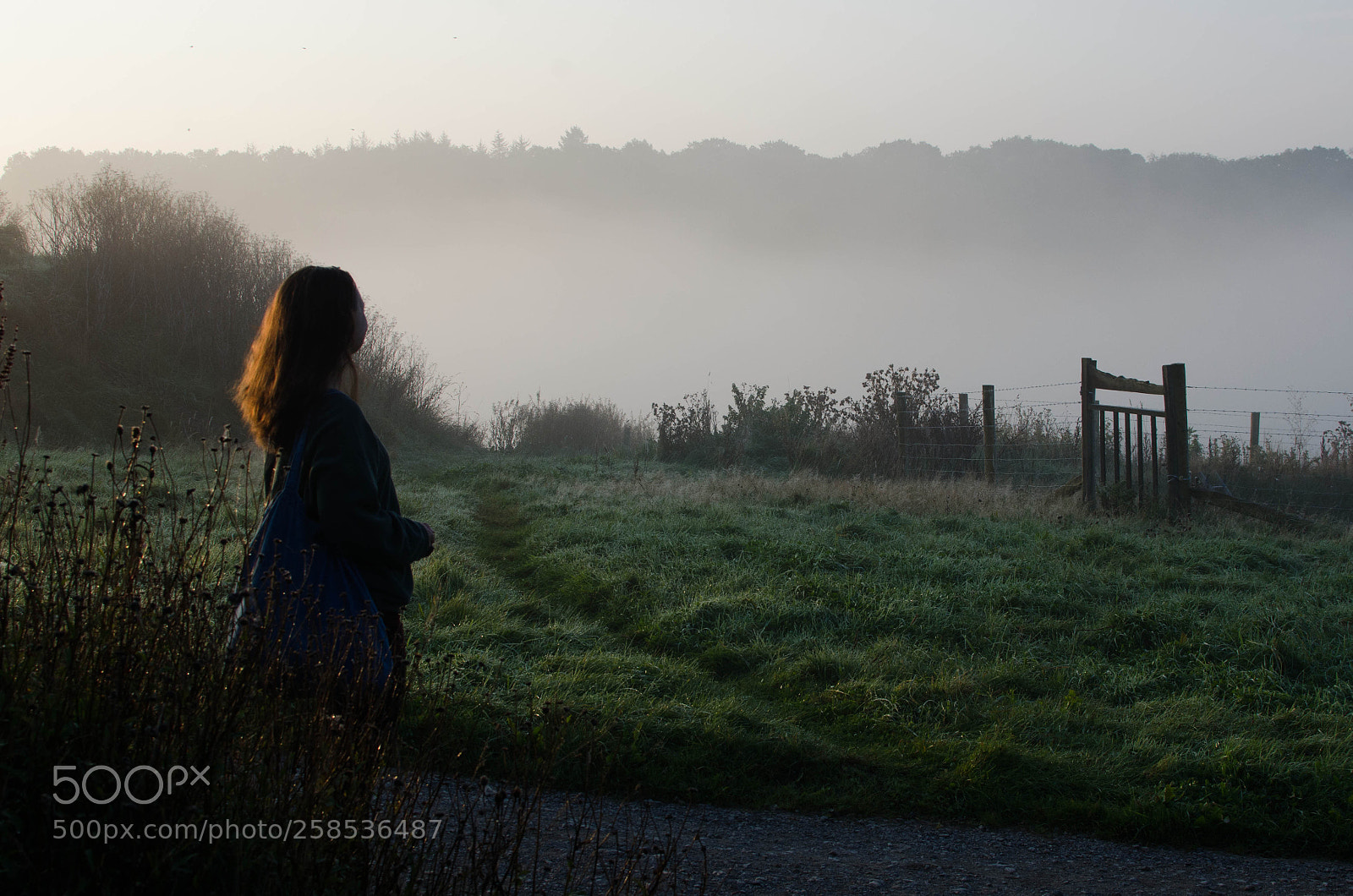 Nikon D7000 sample photo. Misty morning photography