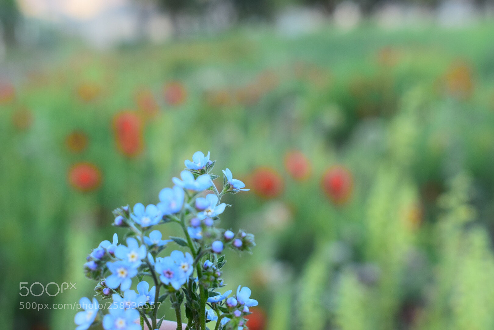 Nikon D5300 sample photo. Untitled photography