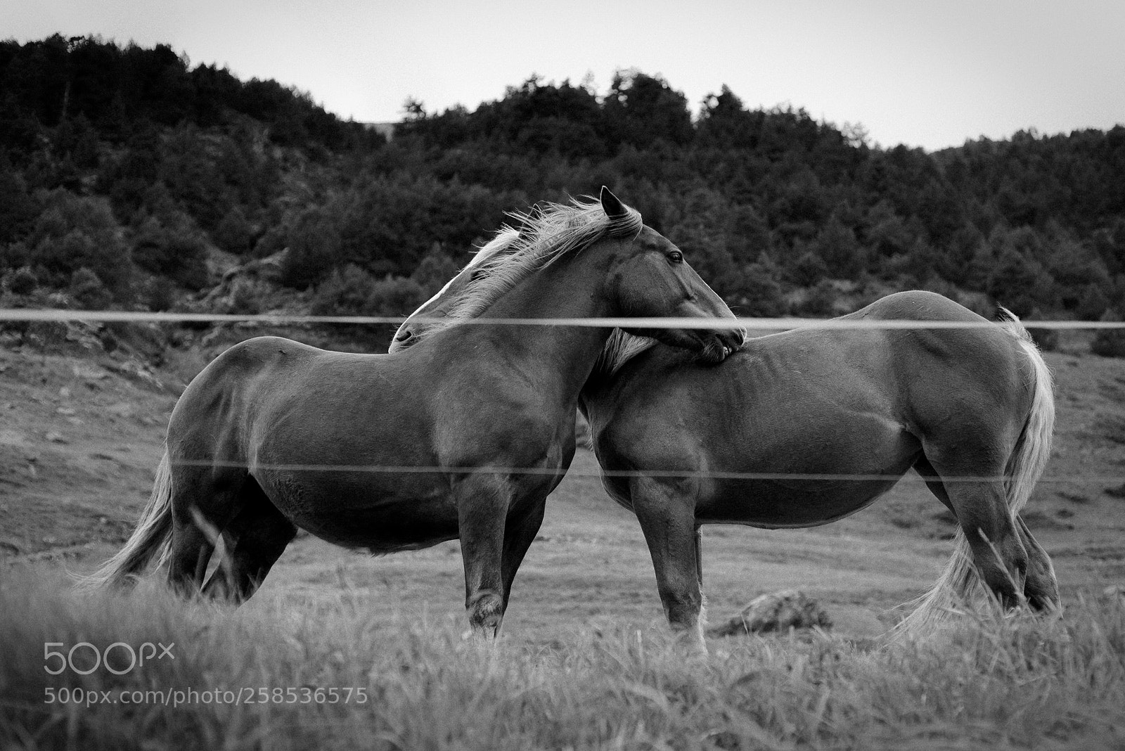 Nikon D610 sample photo. Andorra3 photography