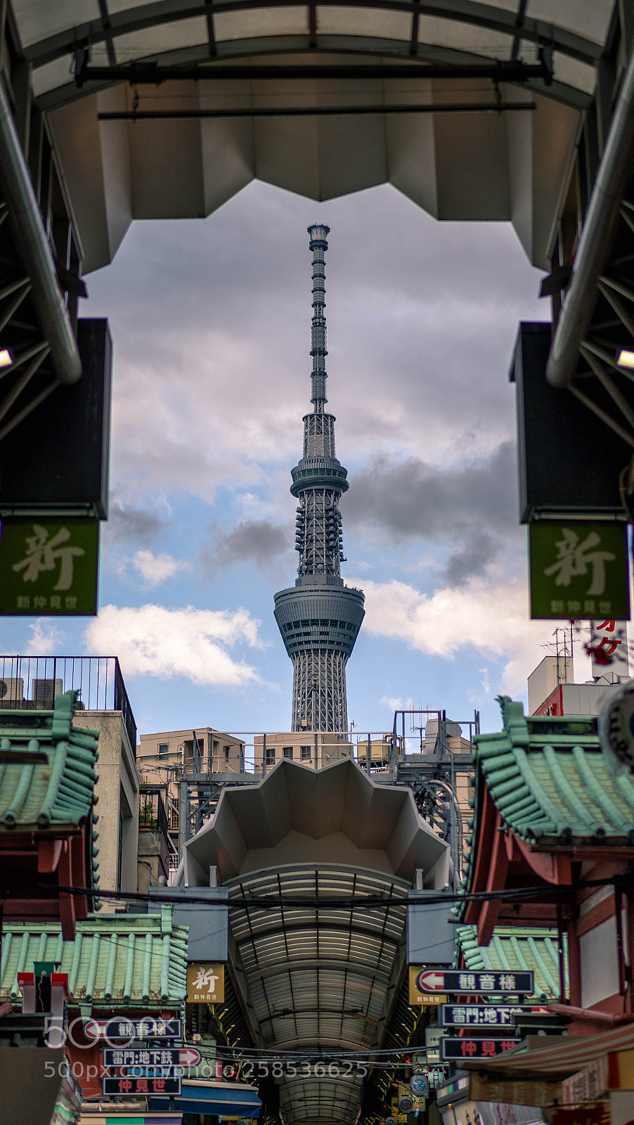 Sony a7 III sample photo. Framed sky tree photography