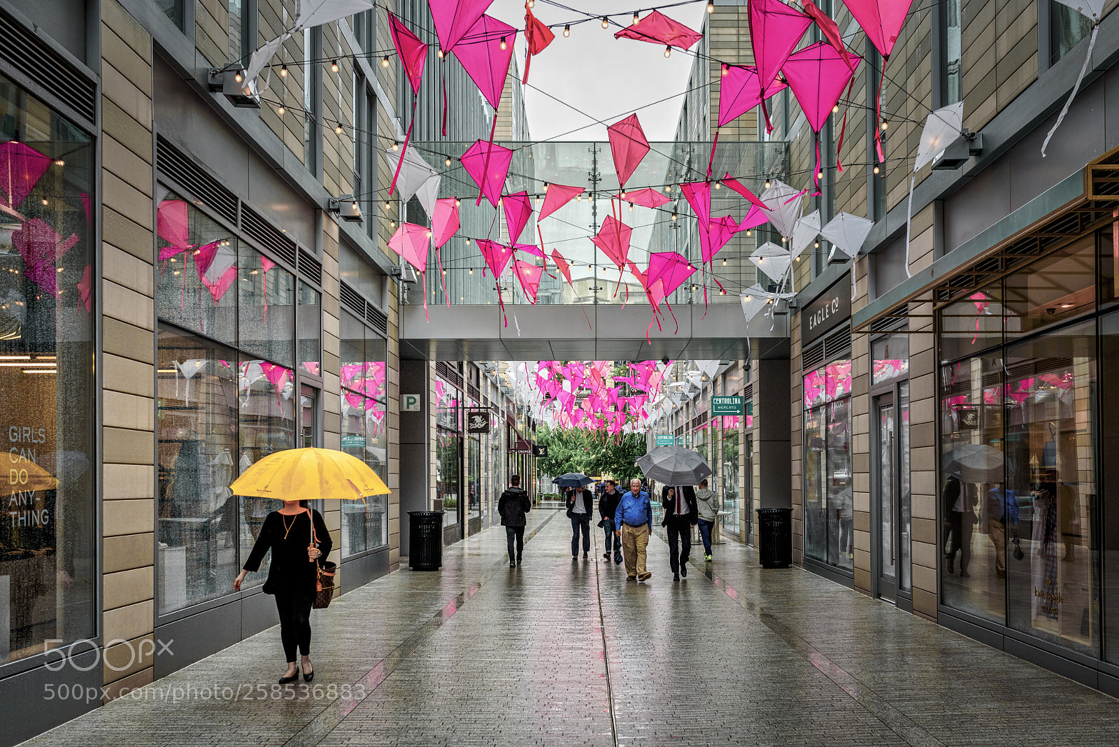 Nikon D750 sample photo. Palmer's alley photography