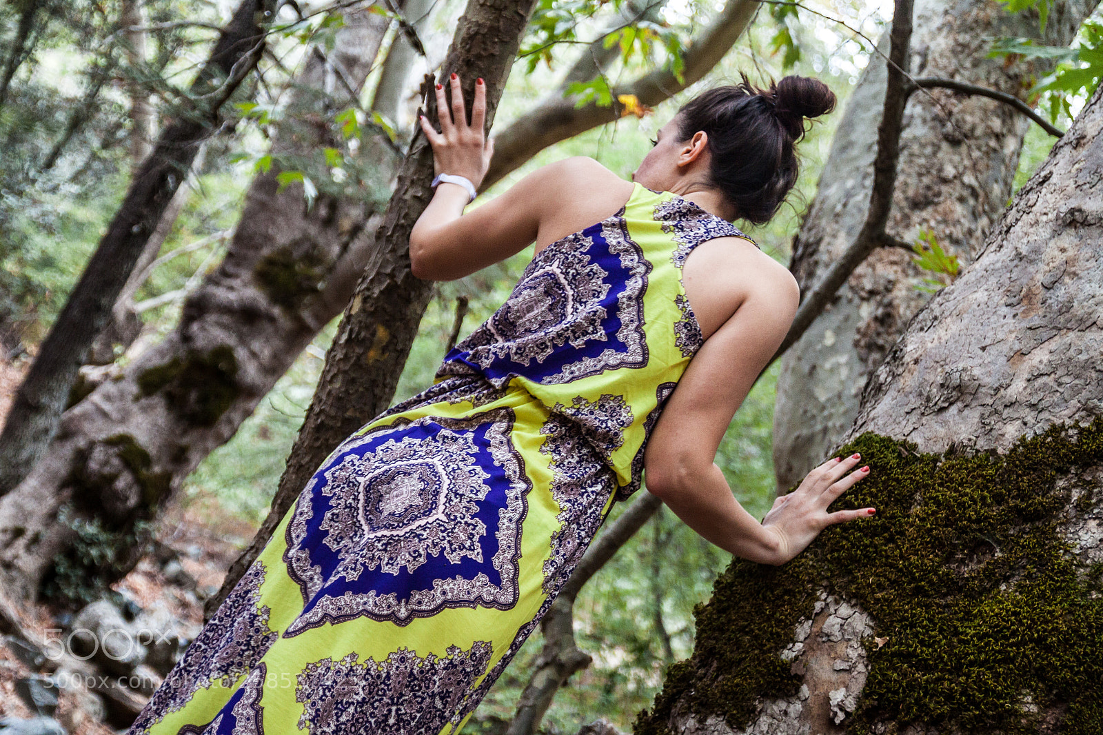 Canon EOS 50D sample photo. Lady of the forest photography