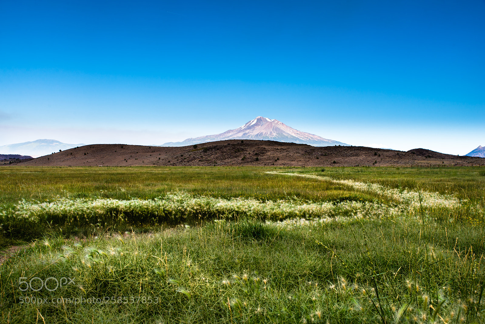 Nikon D610 sample photo. Mt. shasta photography