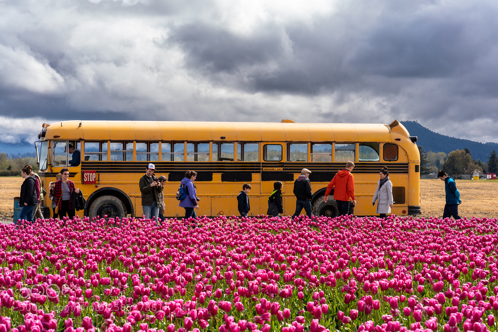 Sony a7R III sample photo. Field trip photography