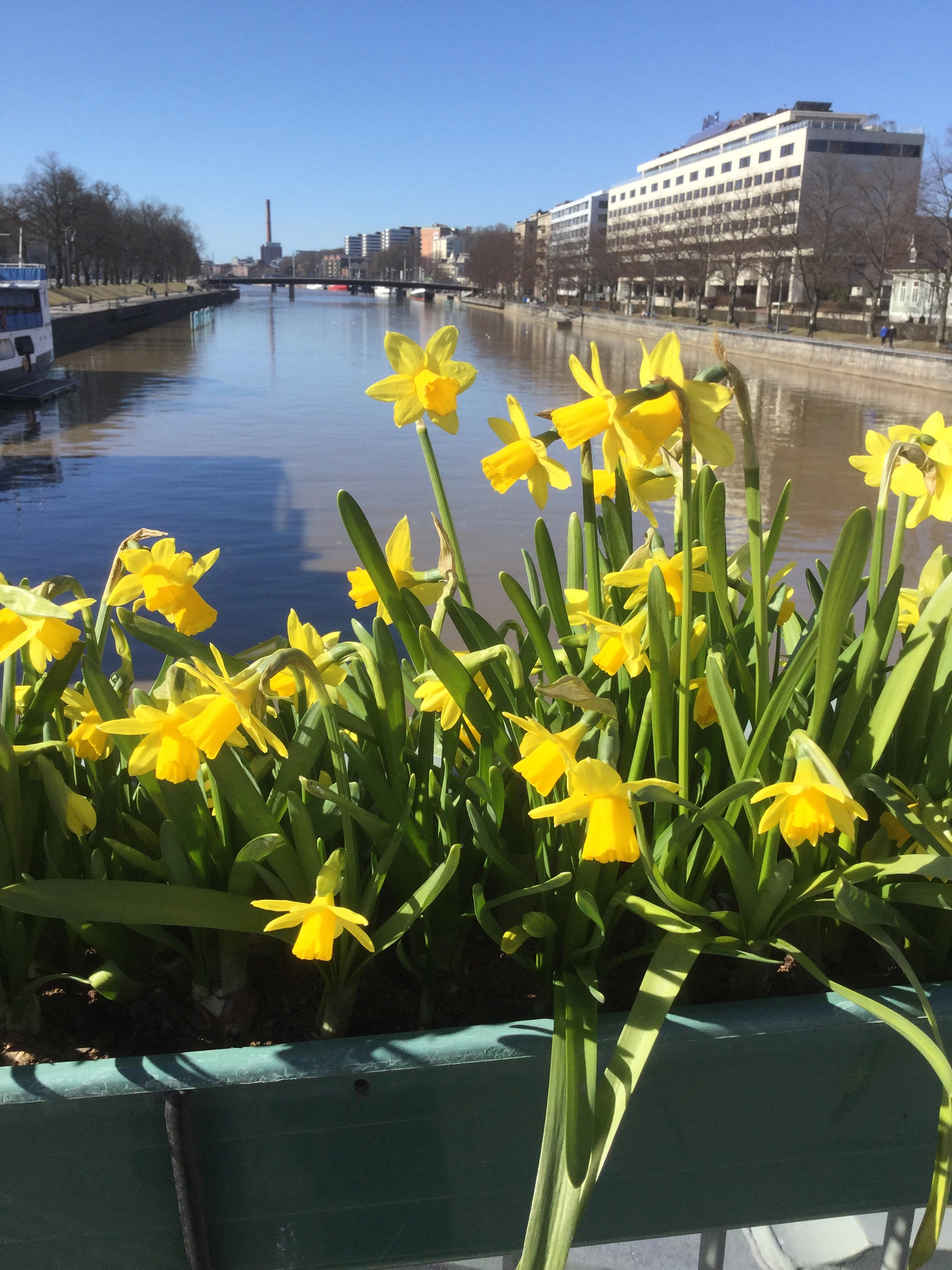Apple iPad Air 2 sample photo. Dandelion and the river photography