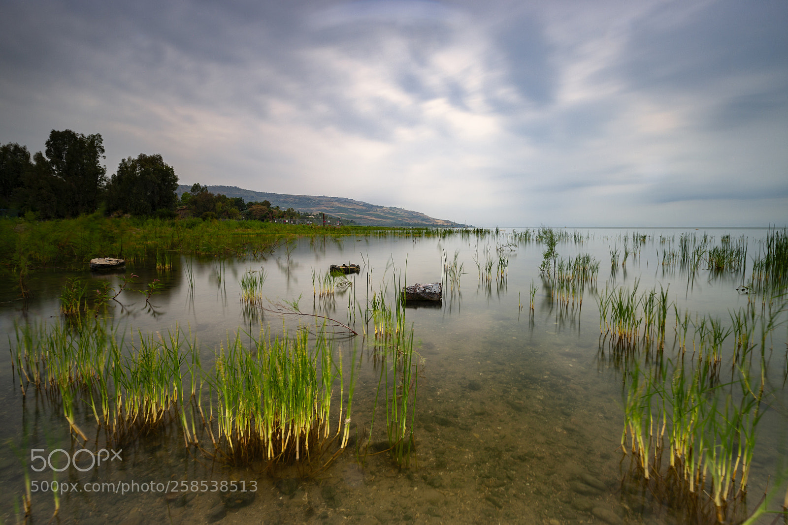 Canon EOS-1Ds Mark III sample photo. Kineret photography