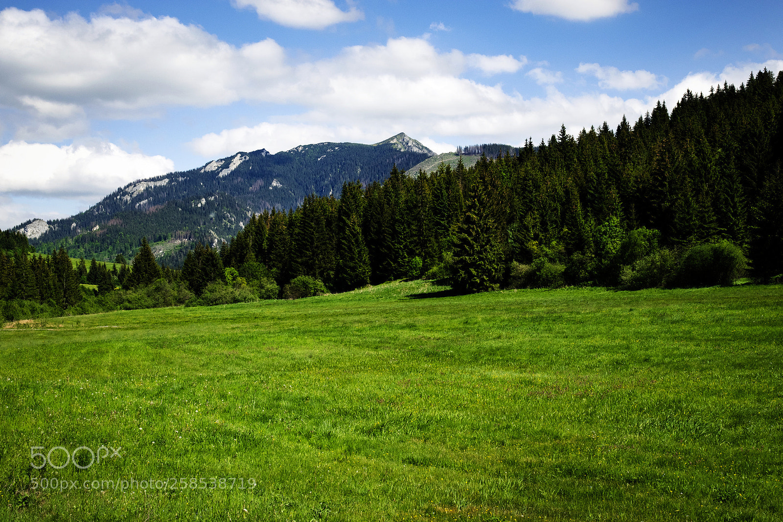 Nikon D5500 sample photo. Summer mountain landscape with photography