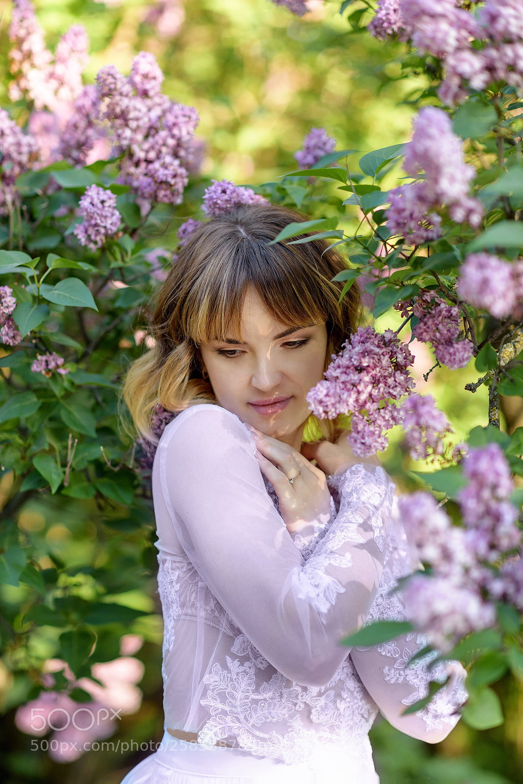 Nikon D810 sample photo. Untitled photography