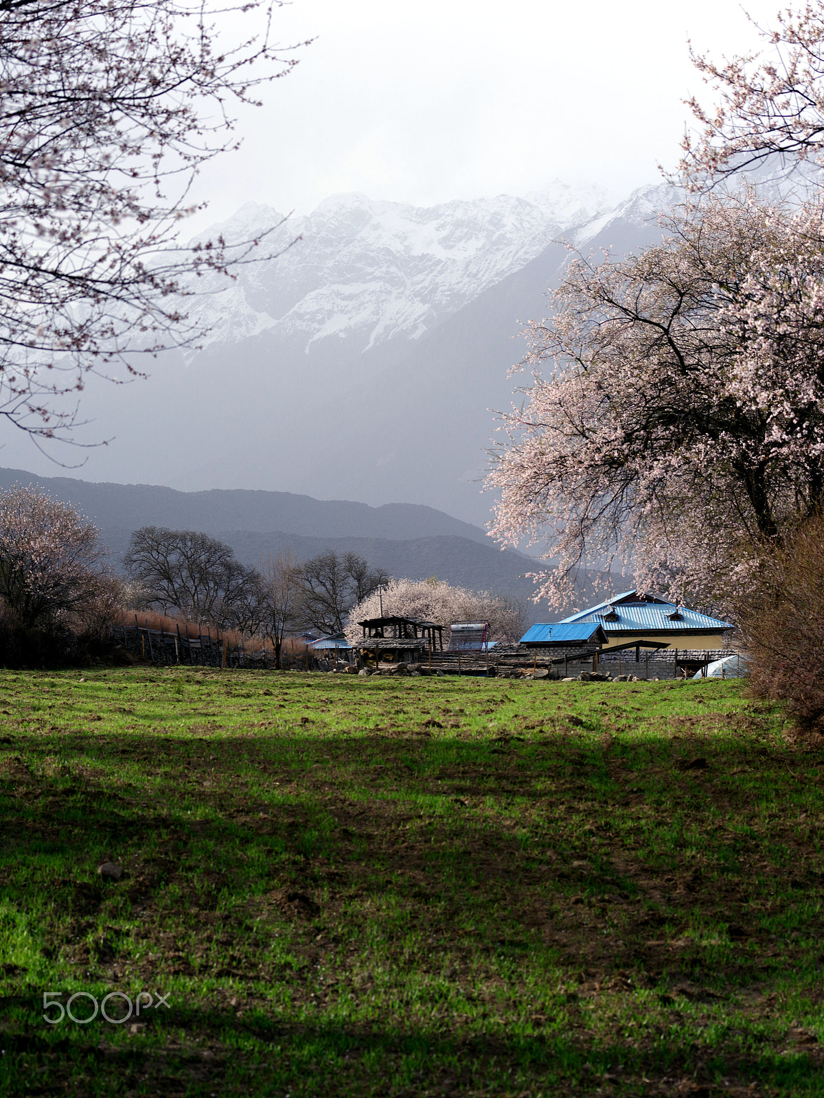 smc PENTAX-FA 645 150-300mm F5.6 ED [IF] sample photo. The most beautiful nyingchi photography