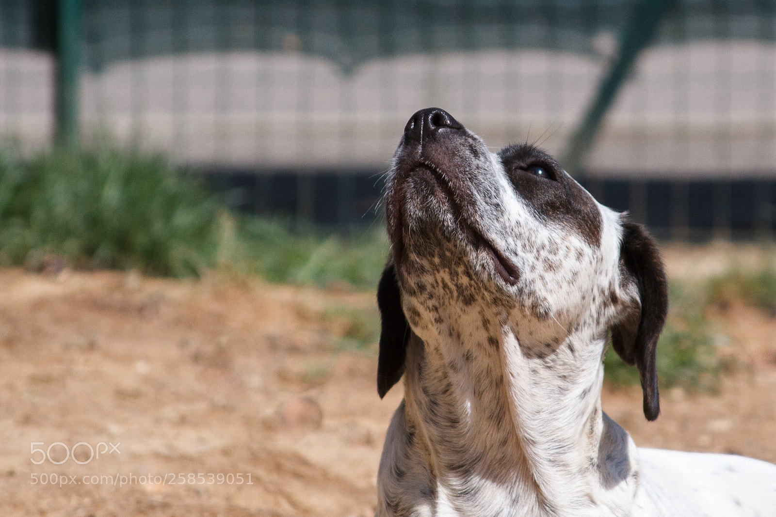 Canon EOS 7D sample photo. Looking up photography