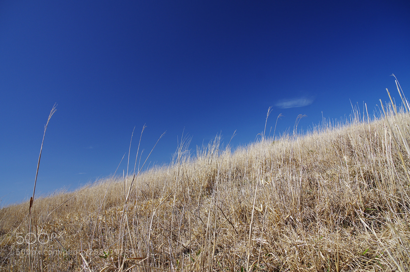 Pentax K-3 II sample photo. Diagonal line photography