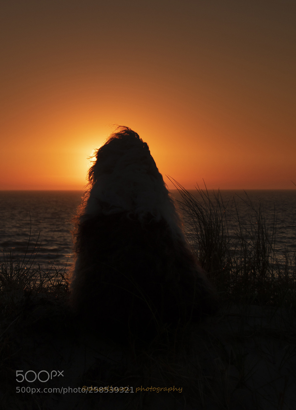 Canon EOS 7D Mark II sample photo. Sophie's sunset photography