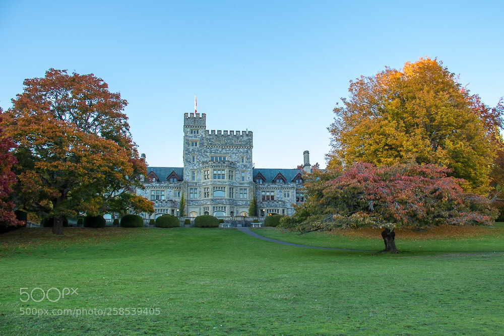 Canon EOS 60D sample photo. Hatley castle photography