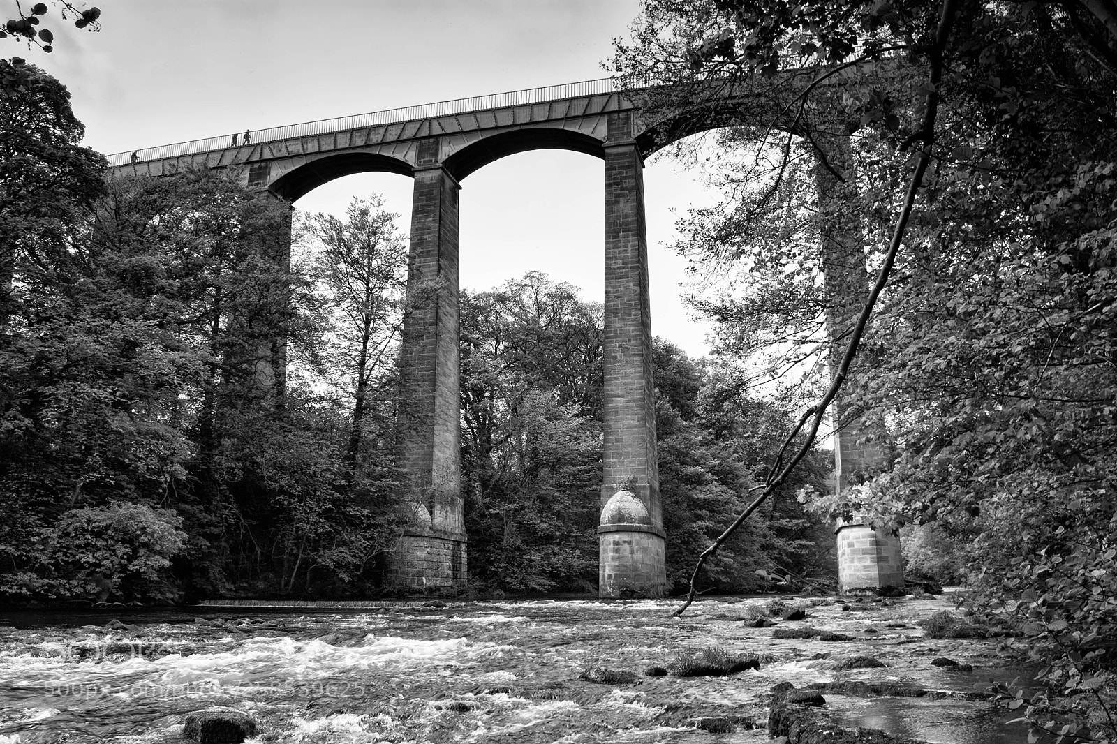 Nikon D7200 sample photo. River in the sky photography
