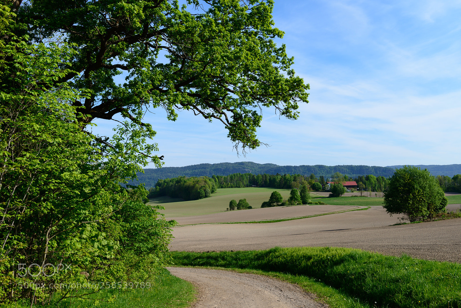 Nikon D800 sample photo. Spring planting photography