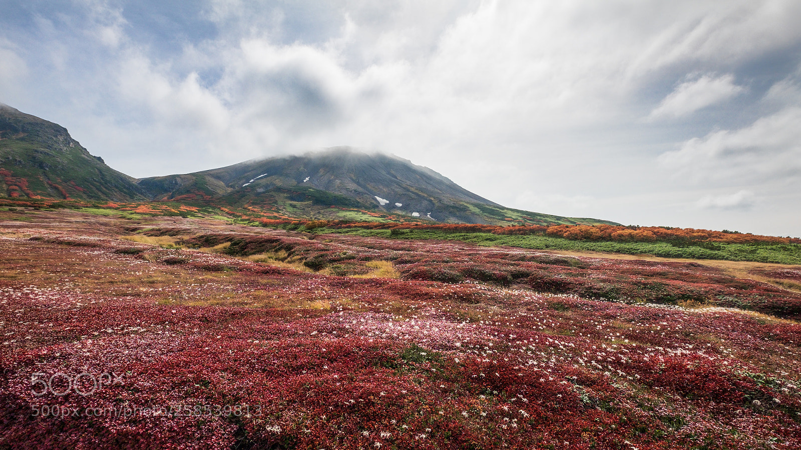 Fujifilm X-E2 sample photo. Colors of autumn photography