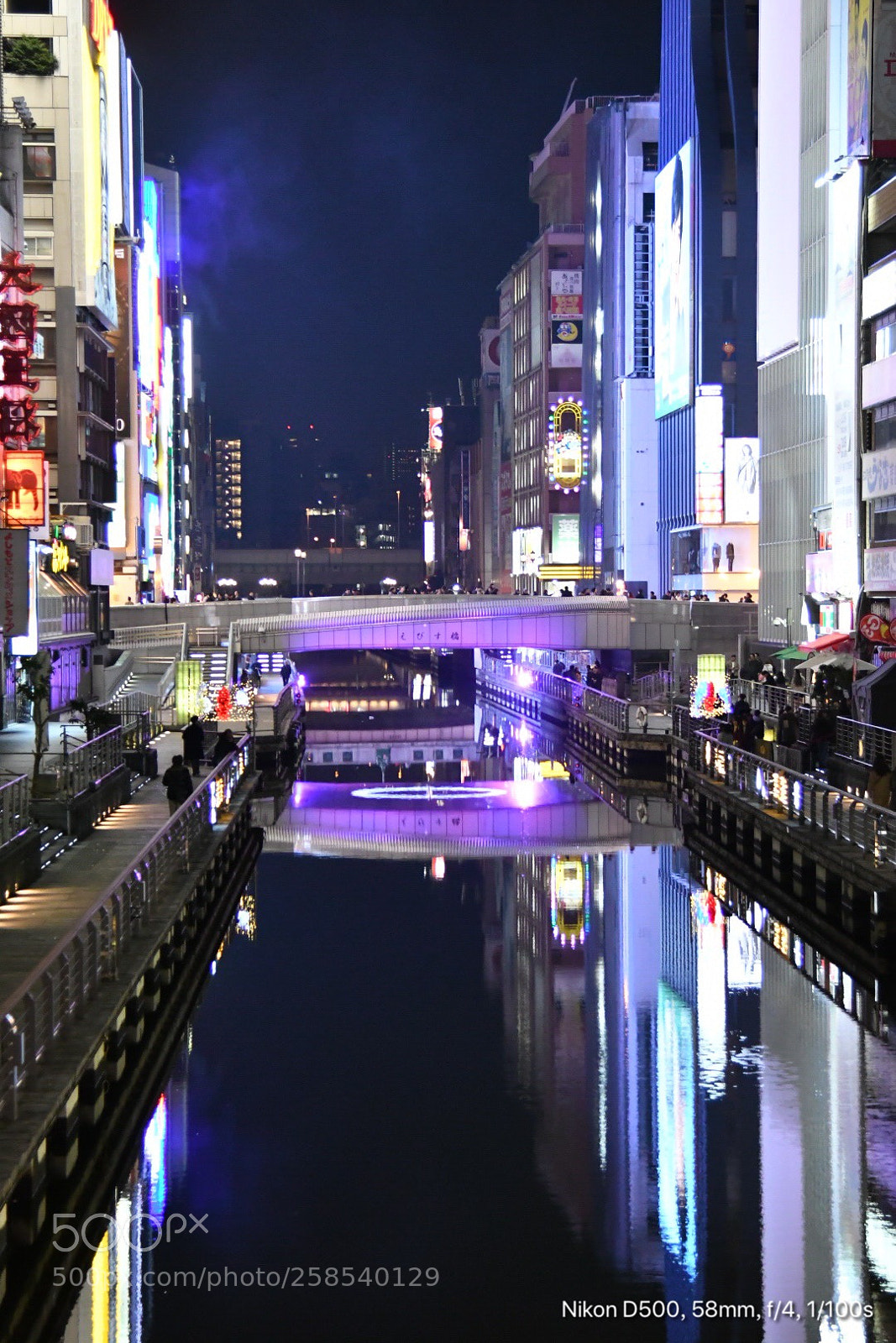 Nikon D500 sample photo. Untitled photography