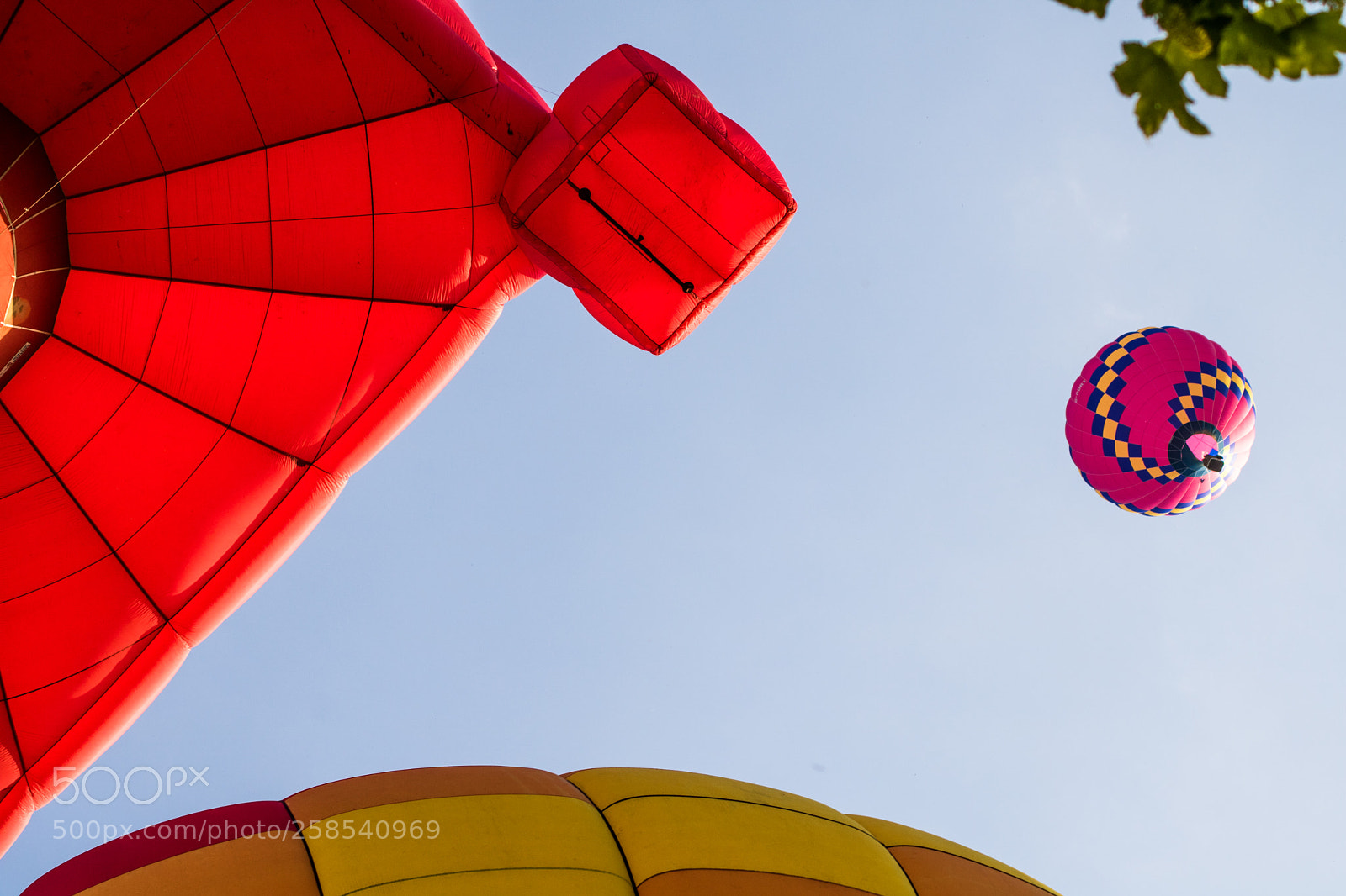 Canon EOS 750D (EOS Rebel T6i / EOS Kiss X8i) sample photo. Hot air balloons photography