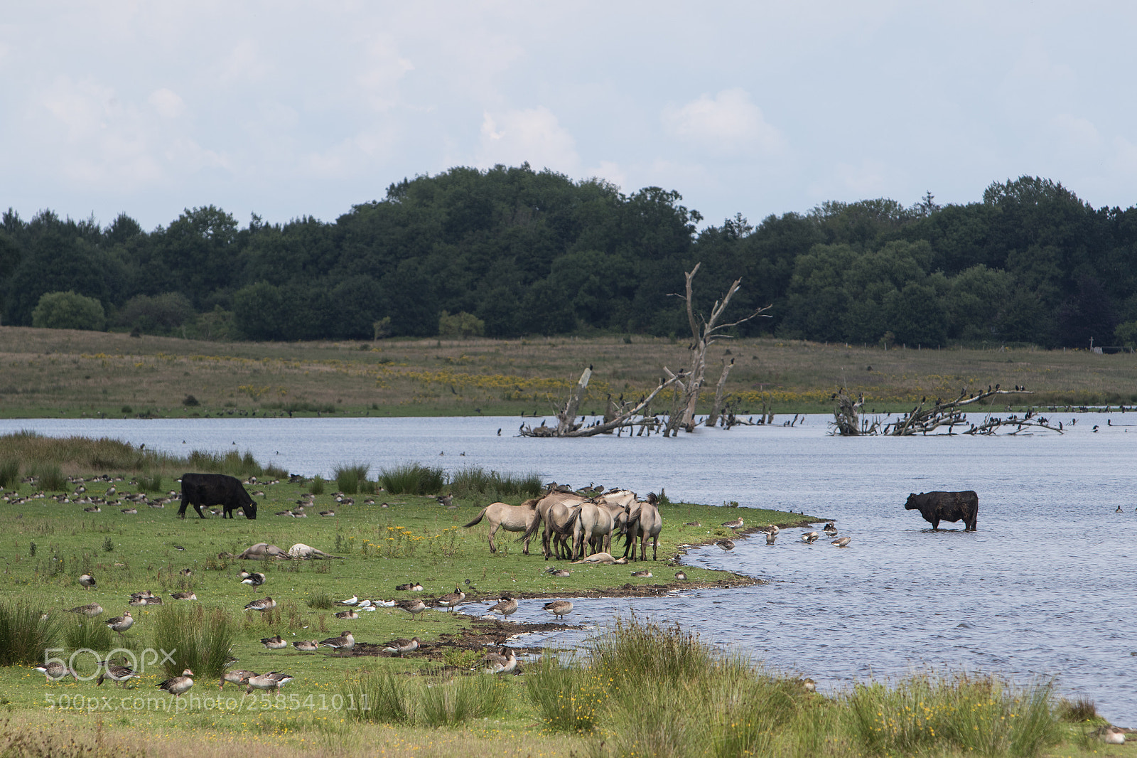 Canon EOS 7D Mark II sample photo. Wild land photography