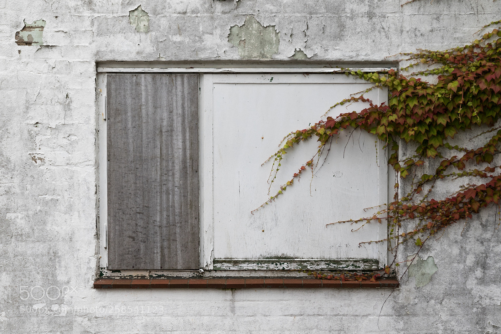 Canon EOS 7D Mark II sample photo. Squared frame in a photography