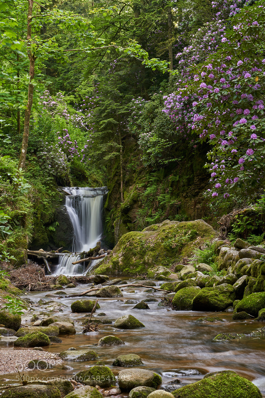 Sony a7 III sample photo. Geroldsauer wasserfall ii photography