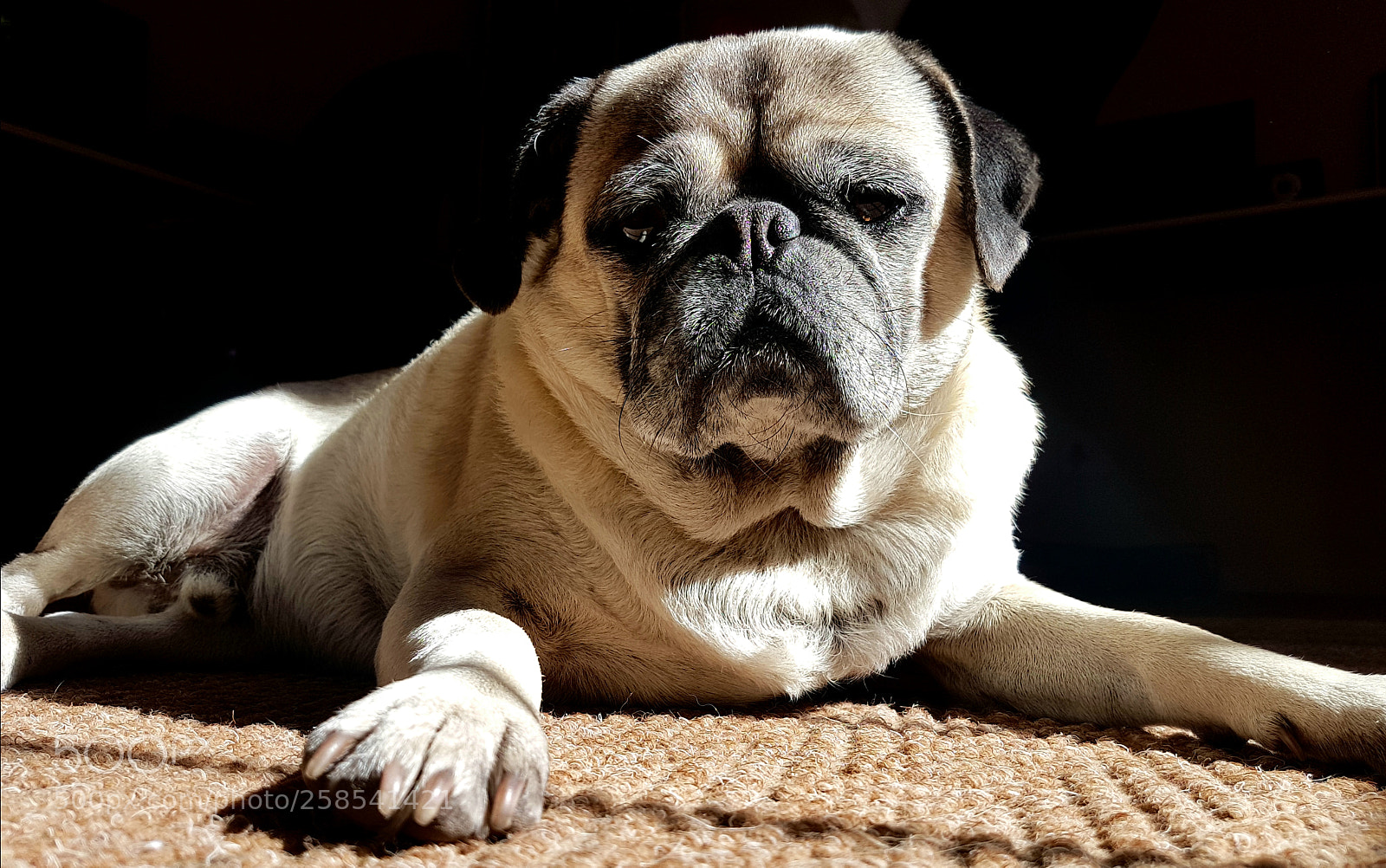 Samsung Galaxy S7 sample photo. Roast piggy photography